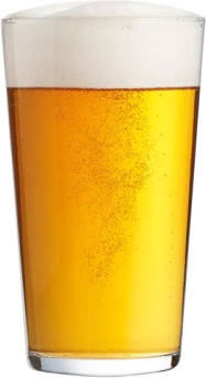 Conique (Conical) Headbooster Glasses 24xPint - 8