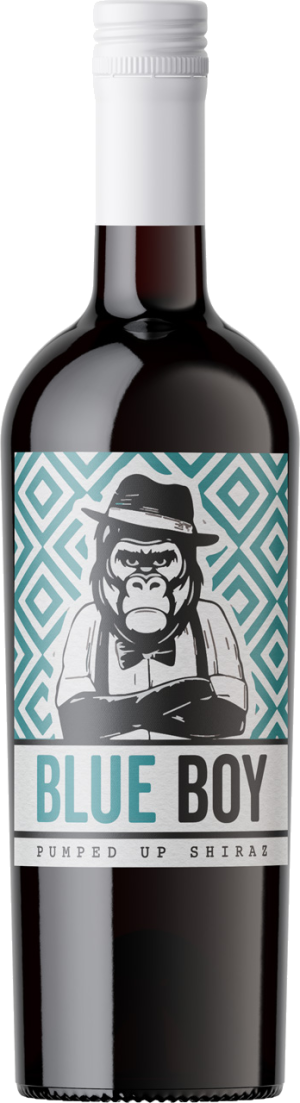 Blue Boy Shiraz 75cl