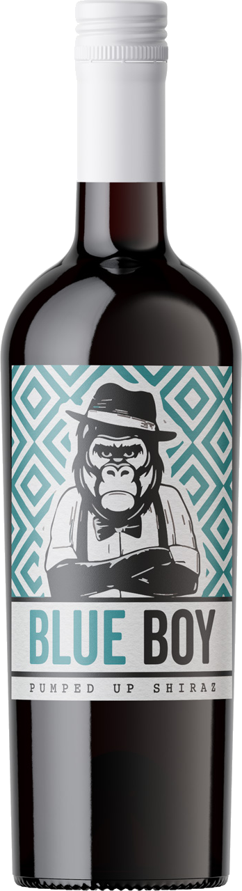 Blue Boy Shiraz 75cl